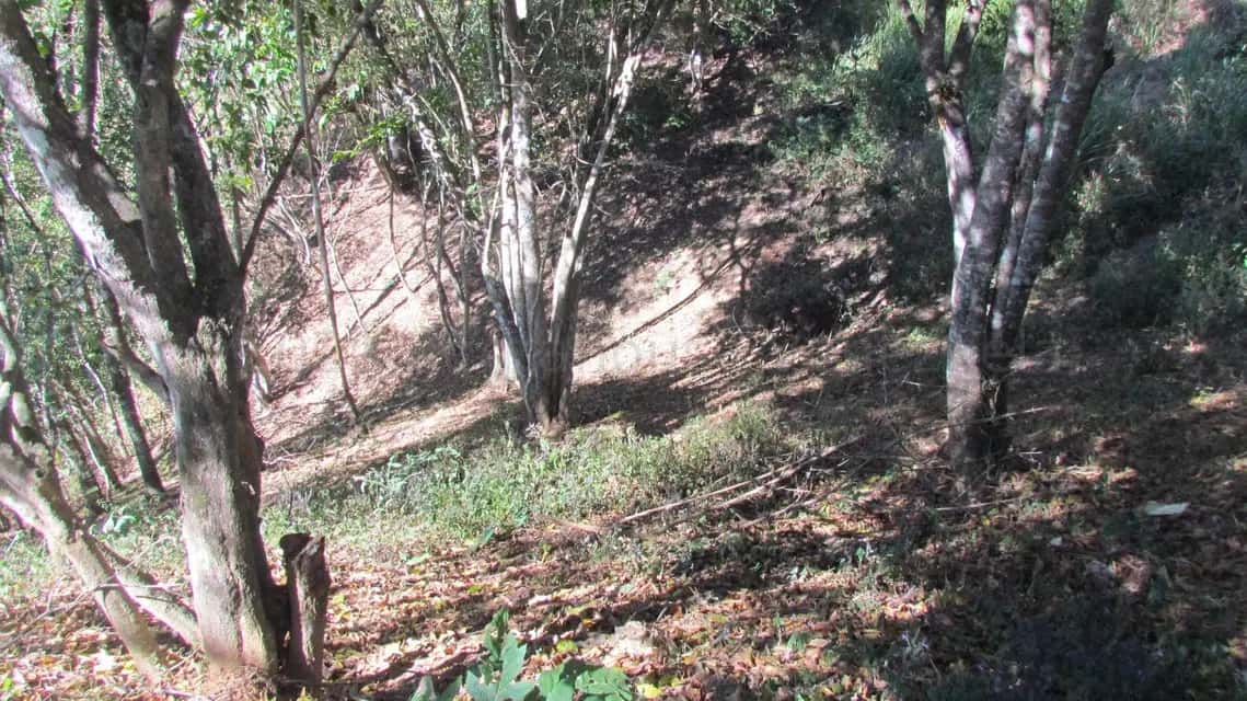 Vista 10