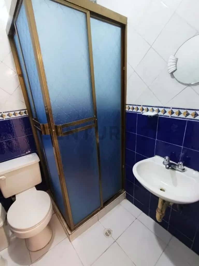 Vista 11