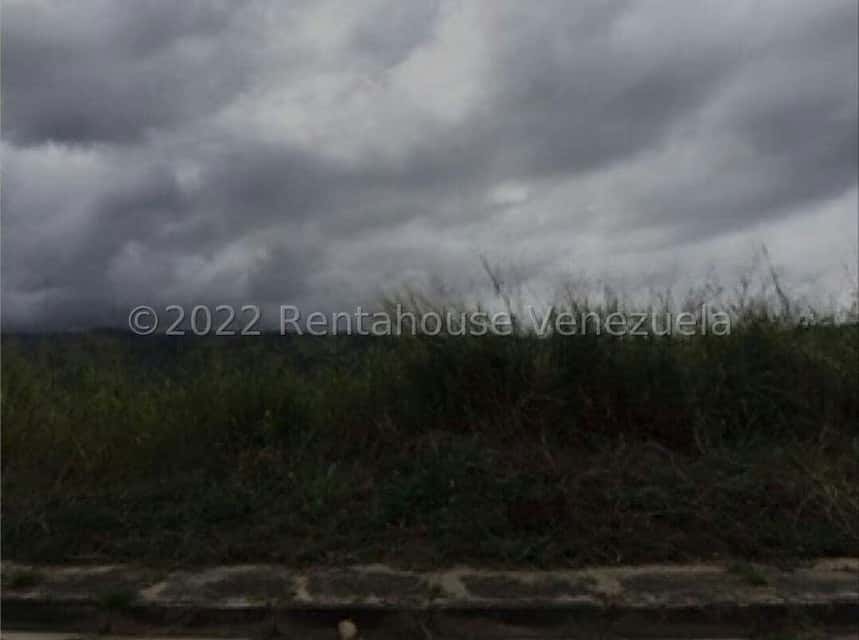 Vista 4