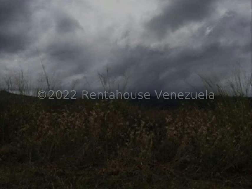 Vista 7