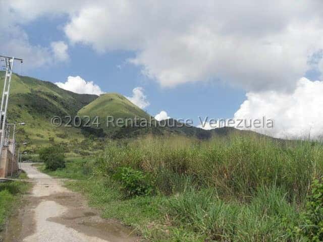 View 26