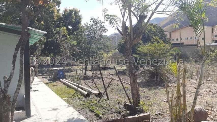 View 32