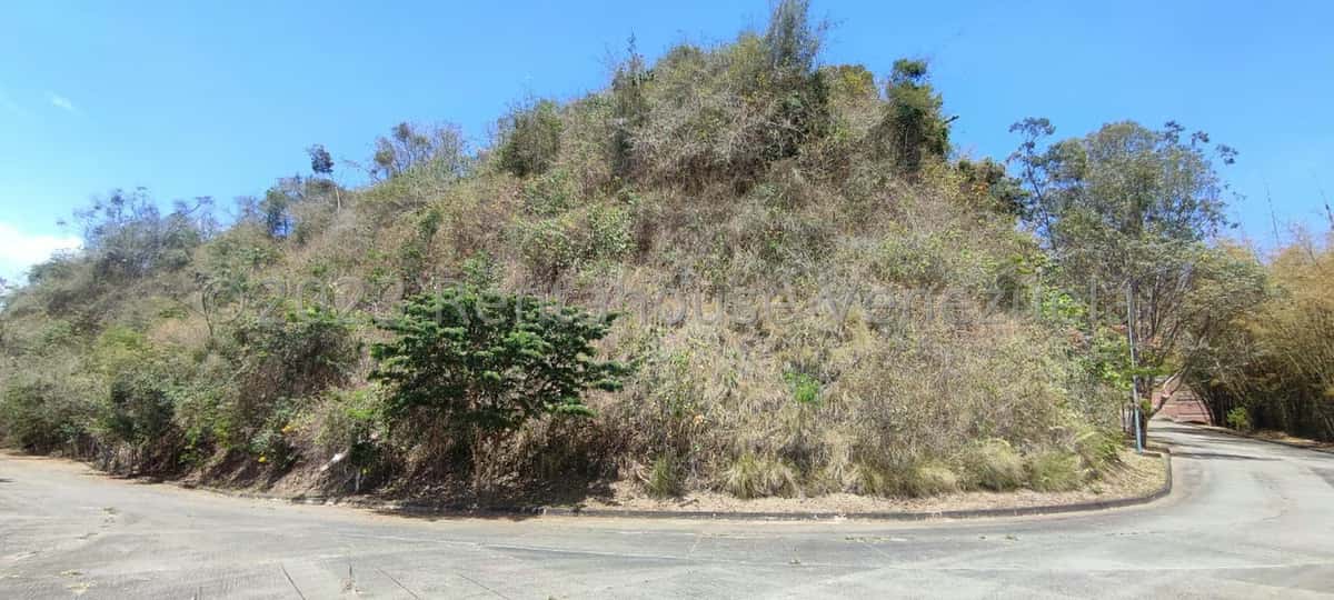 View 7