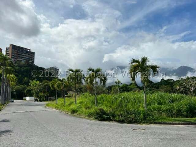 Vista 4