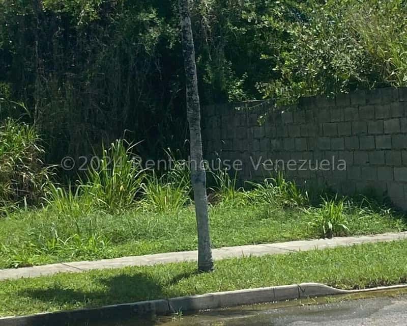 Vista 4