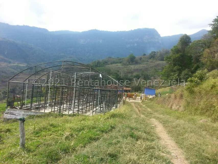 View 11