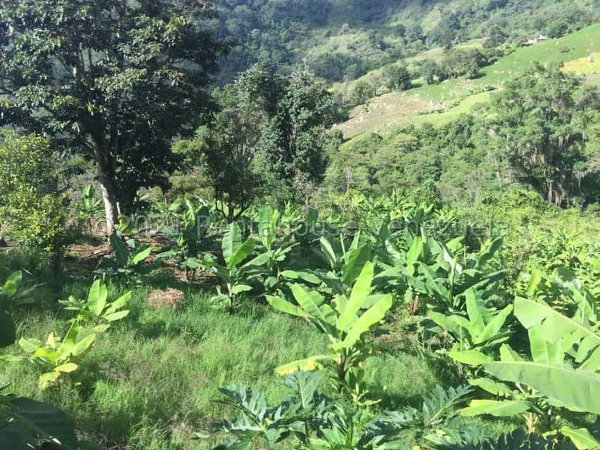 View 8