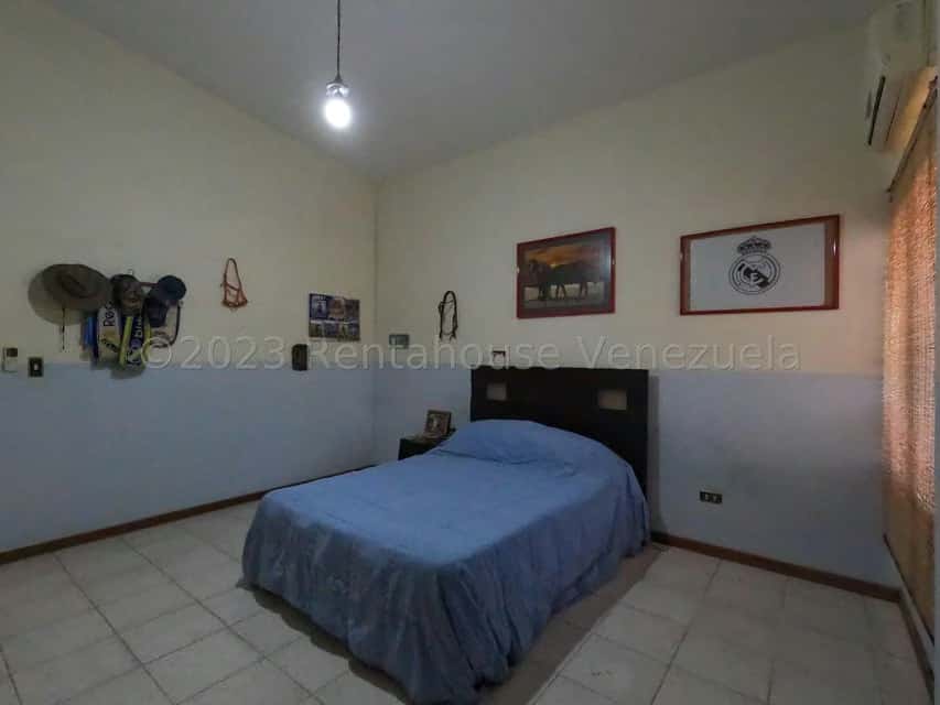 Vista 33