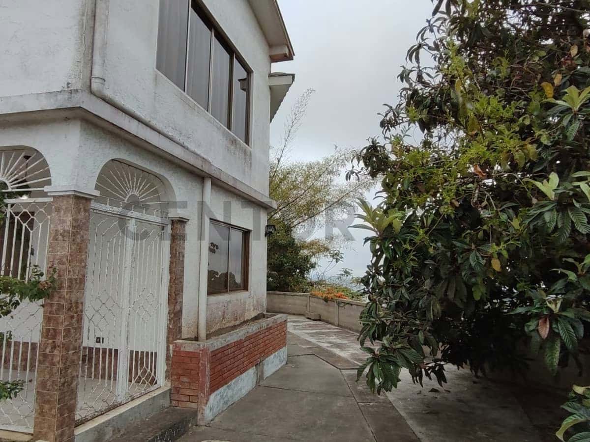 Vista 2