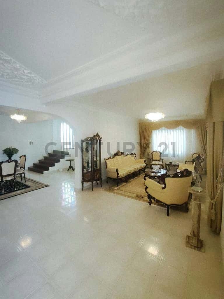 Vista 5