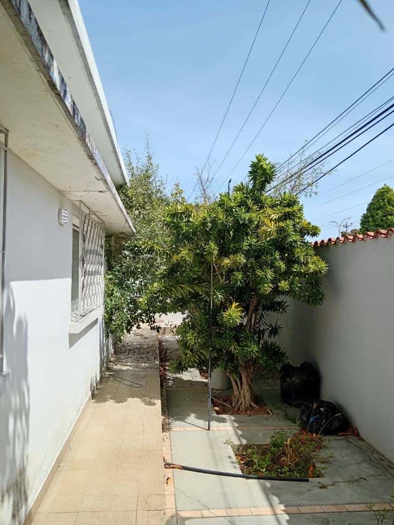 Vista 6