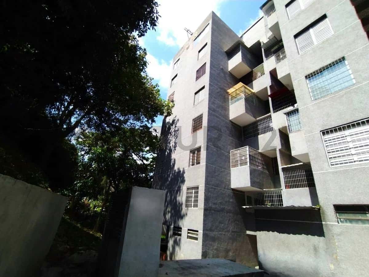 Vista 24