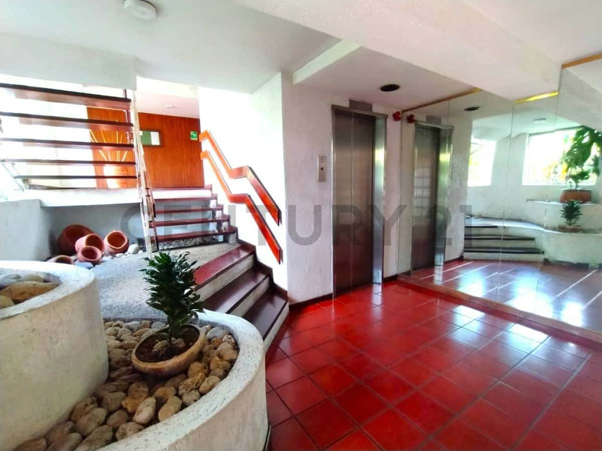 Vista 37