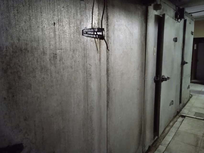 Vista 28