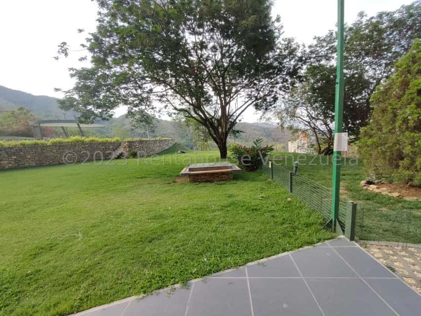 Vista 62