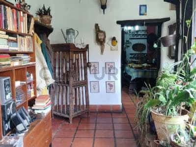 Vista 6