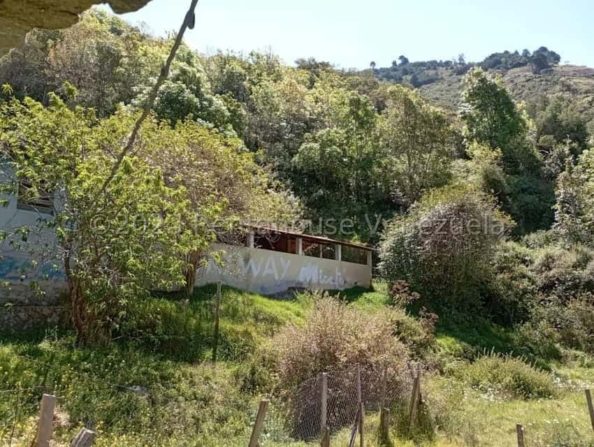View 30