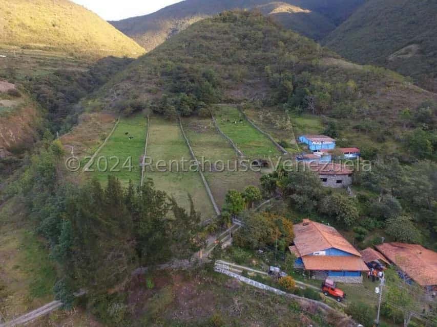 View 54