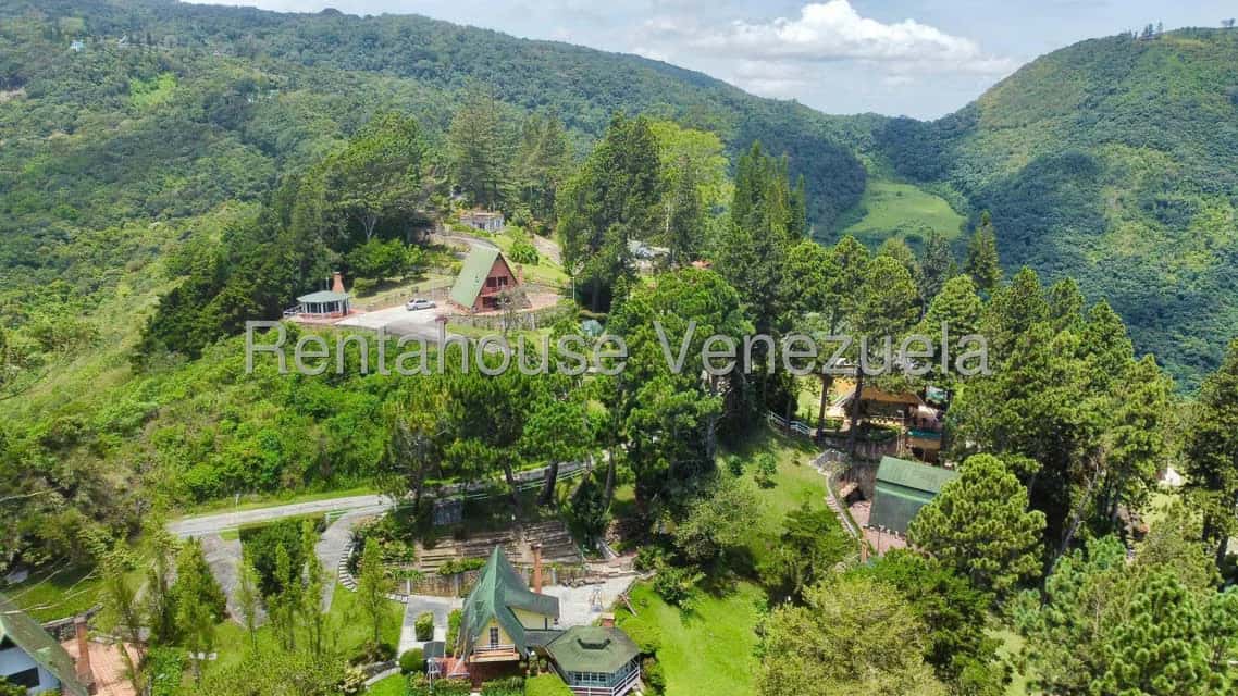 View 2