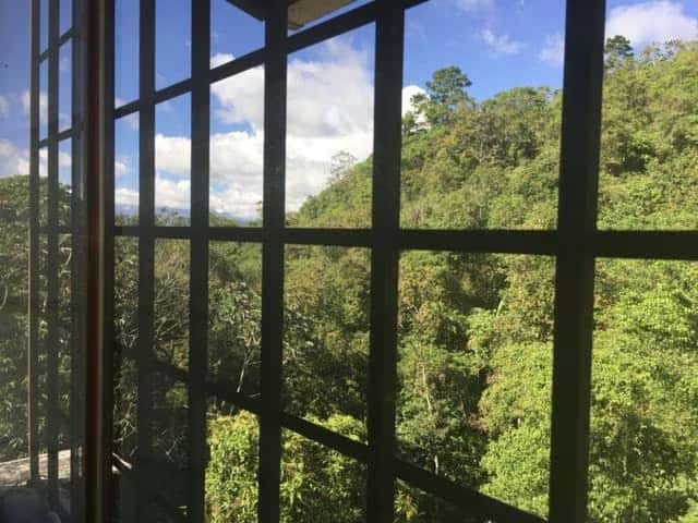 View 18