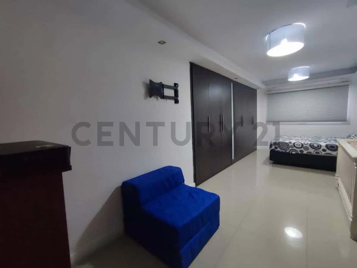 View 24