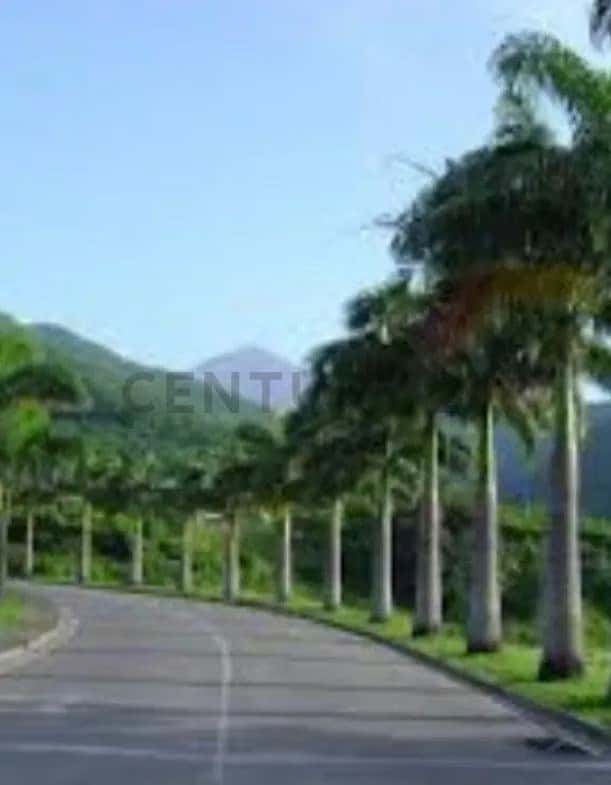 View 5