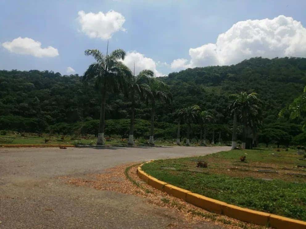 View 6