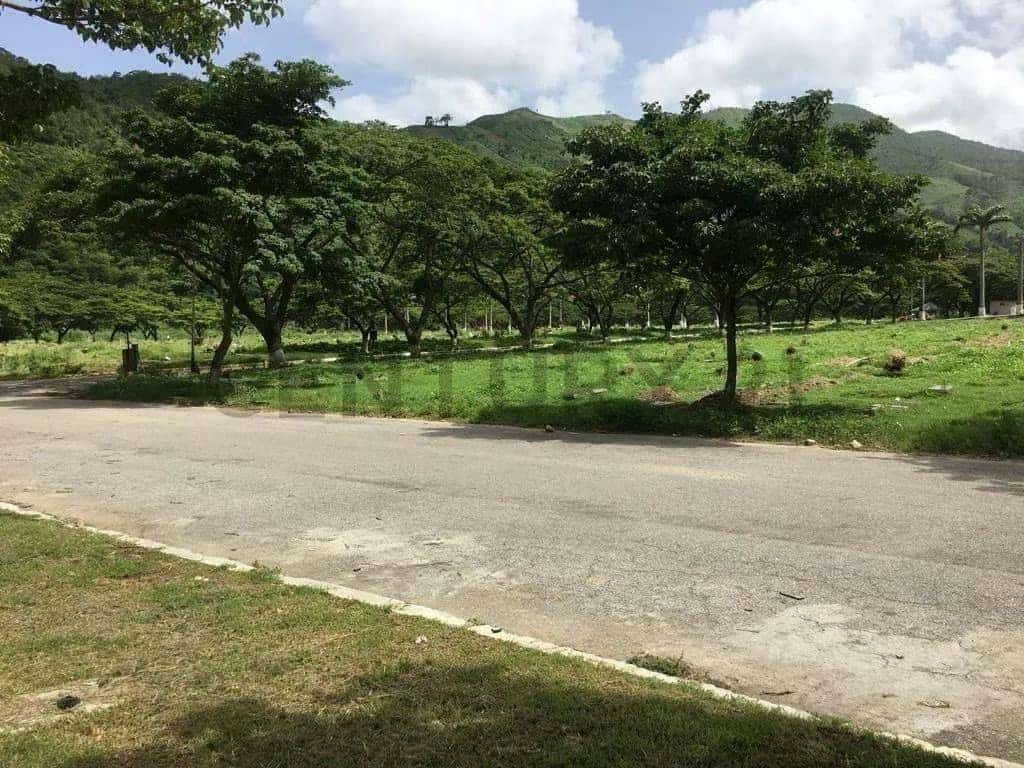 View 7