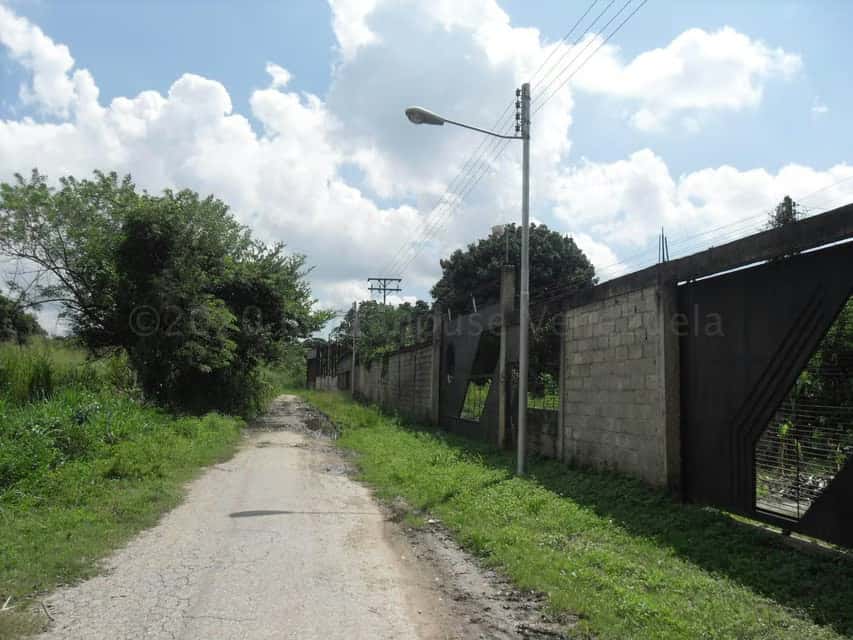Vista 1