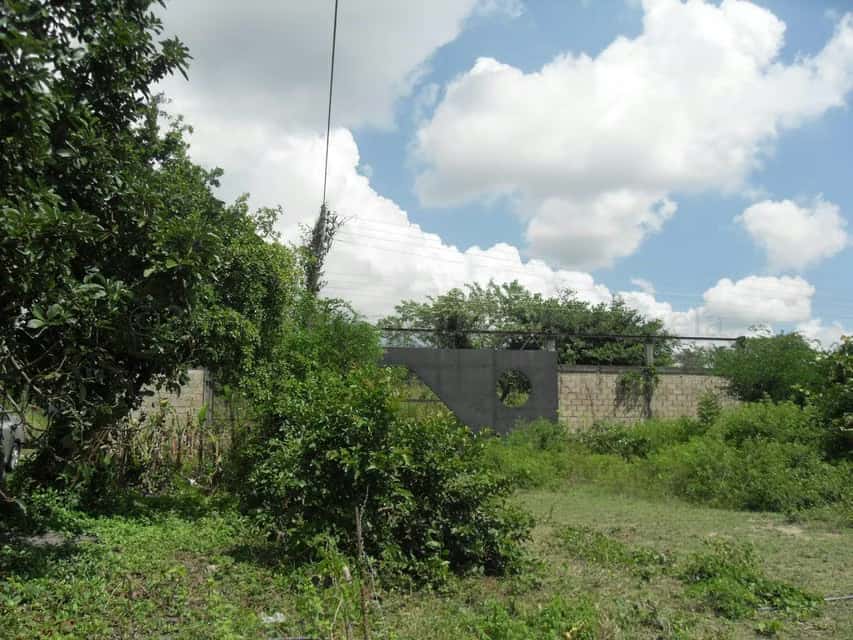 Vista 14