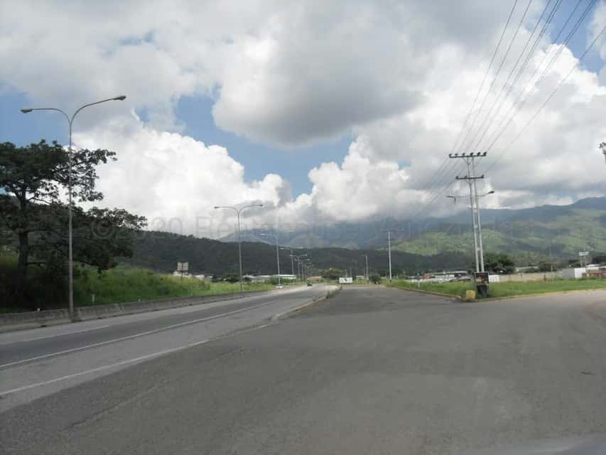 Vista 31