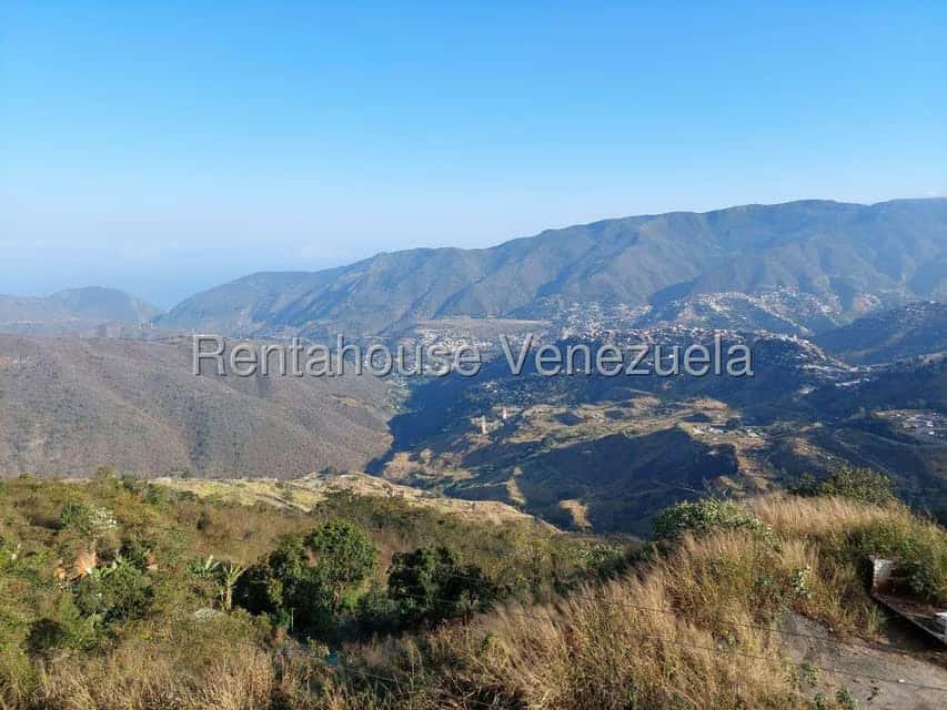 View 14