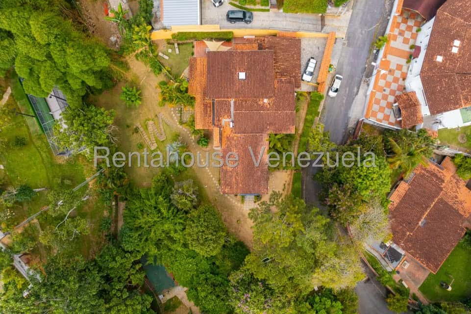 View 61