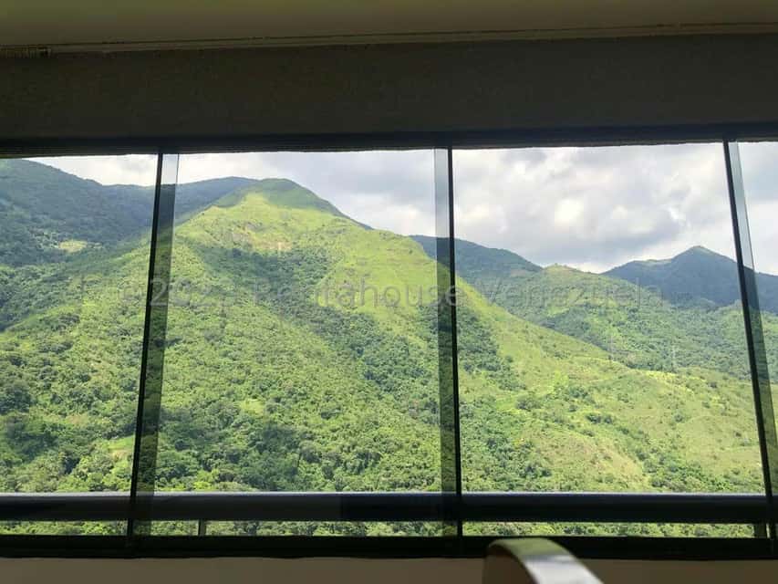 View 13