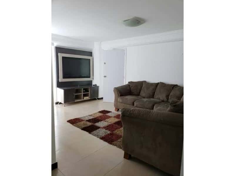 Vista 24