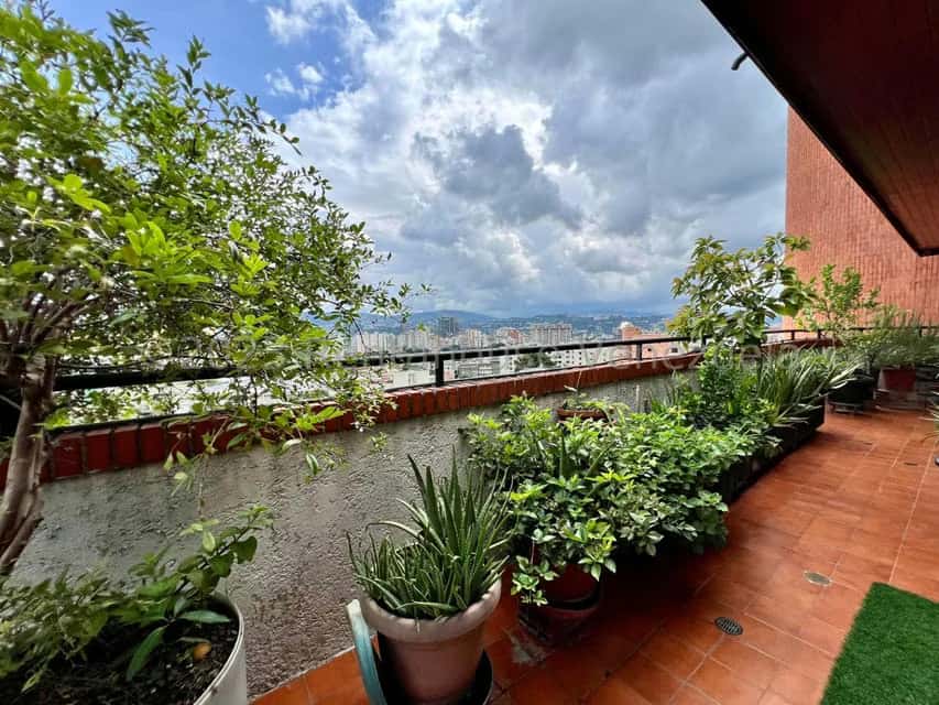 View 17