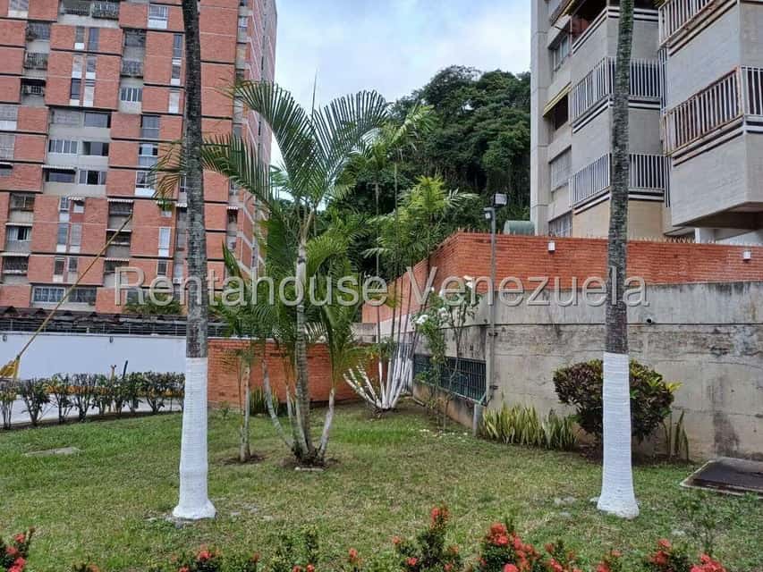 View 24