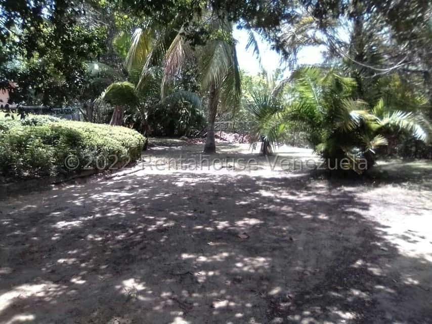 View 15