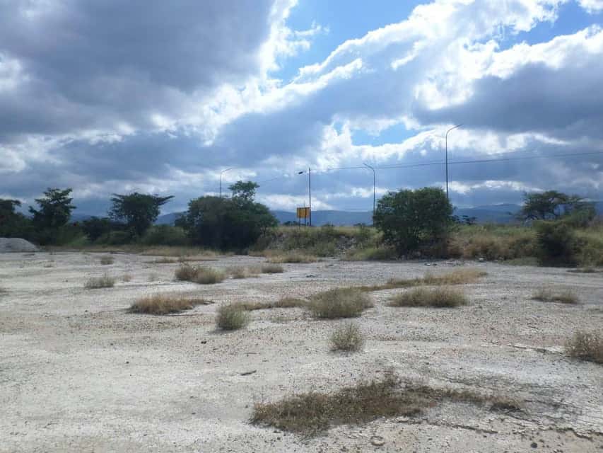 Vista 5