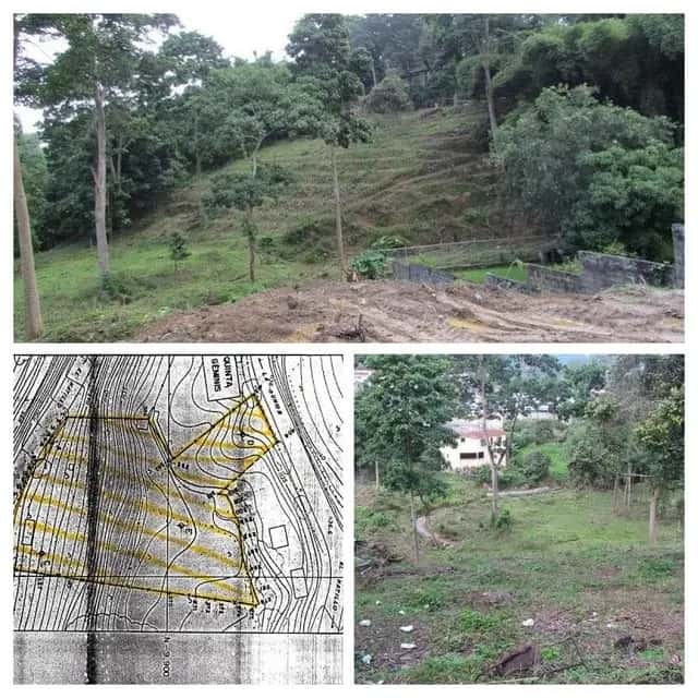 Vista 7