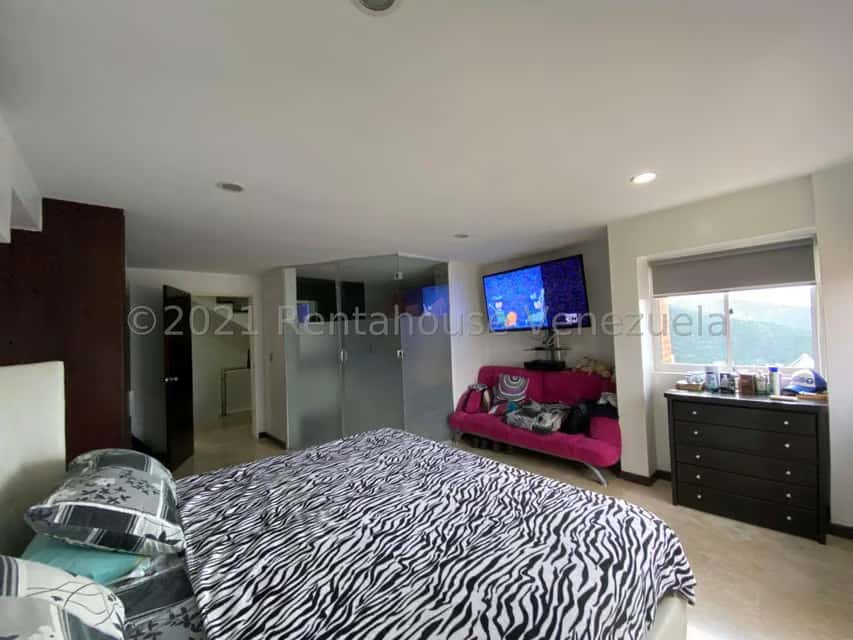 Vista 10