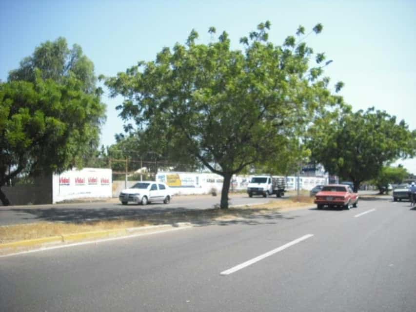 View 9
