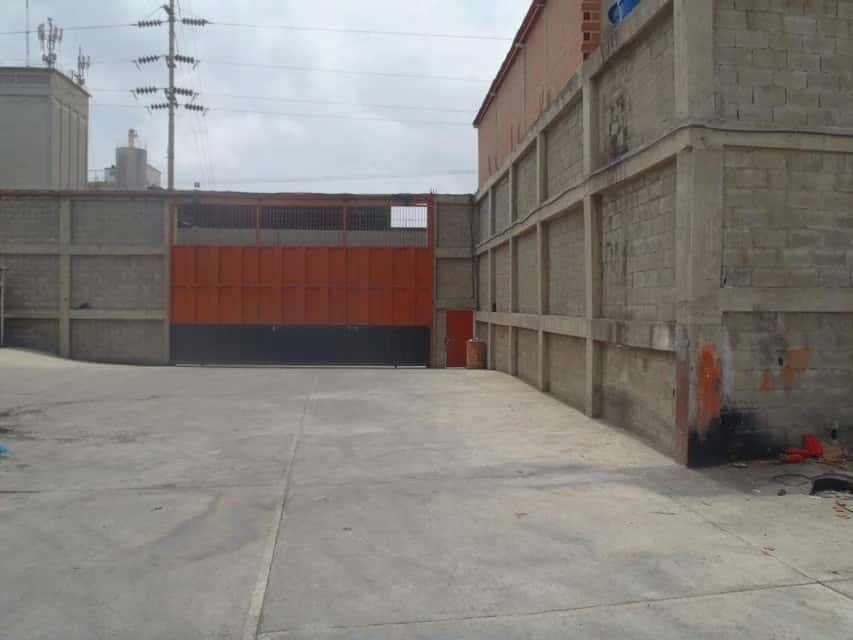 Vista 19