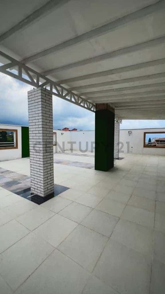 Vista 6