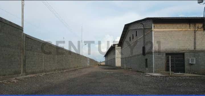 Vista 5