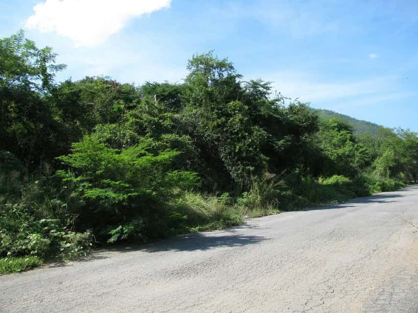 Vista 4