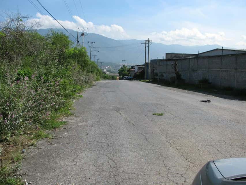 Vista 5