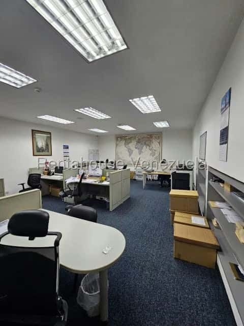 Vista 13