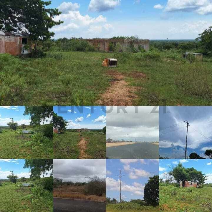 Vista 7