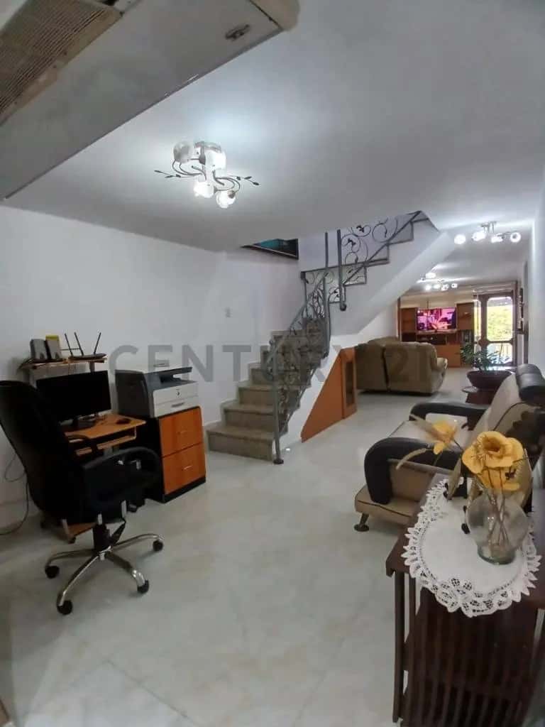 Vista 1